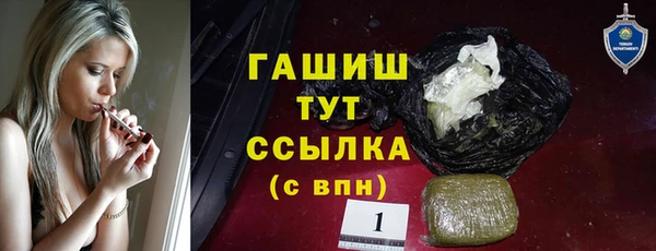 тгк Каменка
