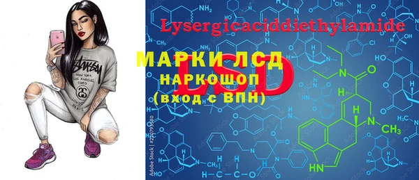 тгк Каменка